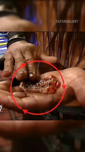 The Boogeyman ATE Jillian Hall's REAL Mole? 😱 Fake or Real WWE Trick Exposed! (2006 SmackDown)