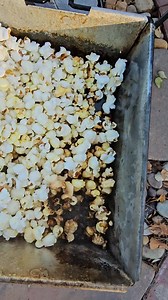 You burned it 🔥 #inthecountry | Ann Rutherford