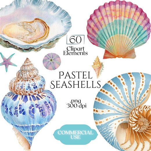 Pastel Seashells Clipart, Watercolor Sea Shell Illustrations, Soft Coastal Shell PNG Graphics (60 Files, Transparent Background) - Etsy