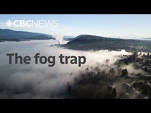 How fog works in 90 seconds | Scienceplained