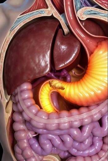 What Happens If You Eat Ginger Every Day? Benefits & Side Effects Explained