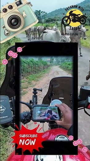 DJI Mimo App Quick Guide 🎥 | Must-Know Tips!