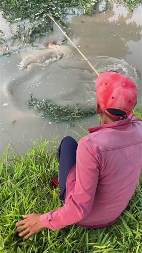 Massive Fish Caught on Film: Bad Grandpa Fishing