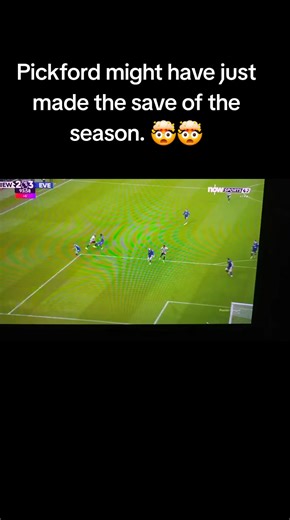 Pickford's Stunning Save of the Season