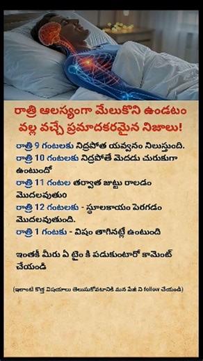 Best Time to Sleep at Night for Maximum Health Benefits | Sleep Cycle Explained