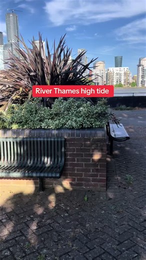 Exploring High Tides on the River Thames