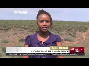 Rangers say legalising ivory trade can sustain conservation