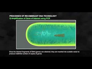 Processes of Recombinant DNA Technology Part 1 512 1