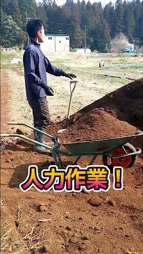 畑の準備で堆肥まきと耕運しました #農業 #堆肥 #耕運