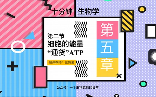 【十分钟生物学】5.2 细胞的能量“通货”——ATP