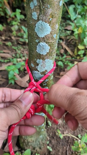 This Knot will Be Helpful #shortvideo #knot