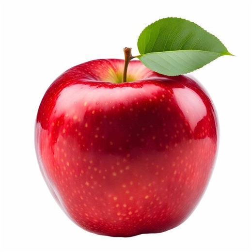 Encontro de Fãs do Mundo Torágio em Salvador