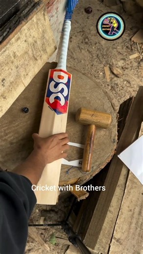 Dsc cricket bat 🔥 #trendingshorts #batreview #shorts #ipl2026 #viralshort