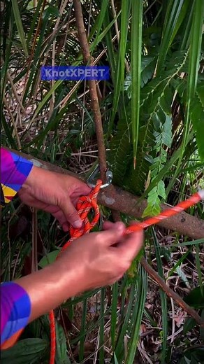 How to tie figure 8 follow through loop as an anchor point