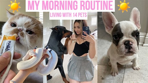 Morning chaos ensues while caring for 14 unique animals