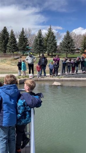 Is there anything more exciting than seeing a bunch of fish arriving at your favorite fishing spot? These first graders were certainly happy to welcome these Yellowstone Cutthroat Trout to Huck Finn Pond in Laramie. What might be even more exciting is catching one of those stocked fish once they've had some time to grow. But how do you know when fish get into your favorite waterbody, and what fish go where? Game and Fish publishes fish stocking reports for waters across the state, so anglers can