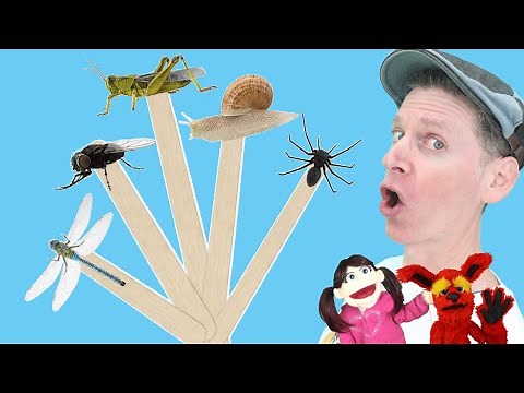 Bugs Part 2 | Pop Sticks Song with Matt | Dream English Kids