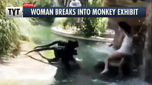 A Texas woman was fired after breaking into a monkey exhibit at the zoo. | The Young Turks