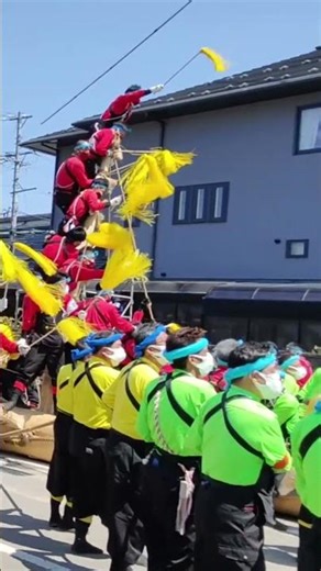 【HD高画質】御柱祭 諏訪大社 本宮四 金澤富士見 ① ショート 10 2 令和4年 2022‎年‎5‎月‎3日