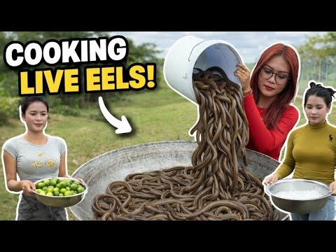 MASSIVE EEL FEAST! Cooking 50 Eels in a Giant Pot"