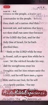 Isaiah 55 Audio Bible Experience #biblestudy