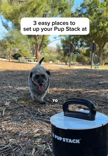 This wouldn’t be an issue with a Pup Stack - portable dog anchor #dogsoftiktok #puppytiktok #funnydog #petsoftiktok #relatable #comedy