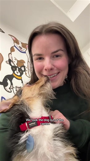 Abandoned Dog Adopted in a Week