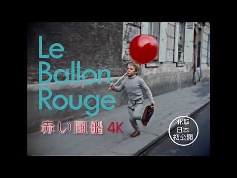 名作『赤い風船』『白い馬』が4Kデジタル修復で、スクリーンにふたたび甦る！『赤い風船 ４K』『白い馬 ４K』予告映像