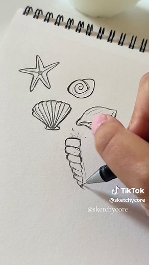 Shells Drawing Tutorial: Step-by-Step Guide to Seashell Art