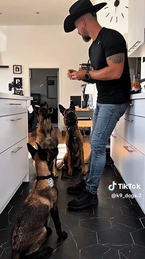 Expert K9 Training Tips for Dog Owners