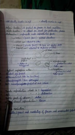 class 12 bio exam study vlog