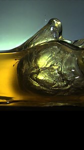 Good ol’ reliable, flat-shooting .243 Win. Are there any .243 hunters out there? Raise your hand! #normaammo #nowitsuptoyou #hunting #tipstrike | Norma Ammo