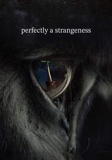 Perfectly a Strangeness streaming: watch online