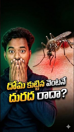 Why Don’t Mosquito Bites Itch Immediately The Science Explained #facts #shorts