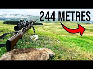 244 Metres | Extreme Long Range Rabbit Shooting | .17 HMR shot