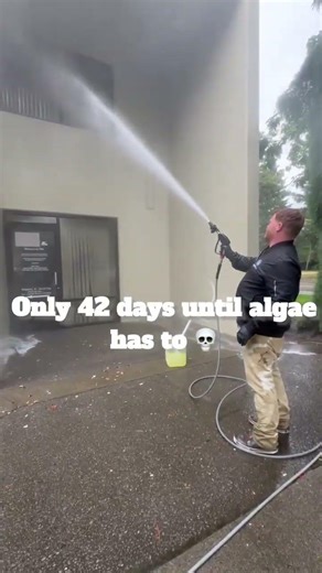 Sodium Hypochlorite is the best algae killer
