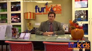 Animal shelter’s adorable ‘kitty’ commercial is purr-fection | Globalnews.ca