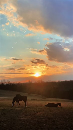 Spring Awakens in Appalachia: Explore the Blue Ridge Mountains