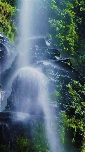 Nature’s Hidden Paradise: Stunning Waterfall Views 🌊