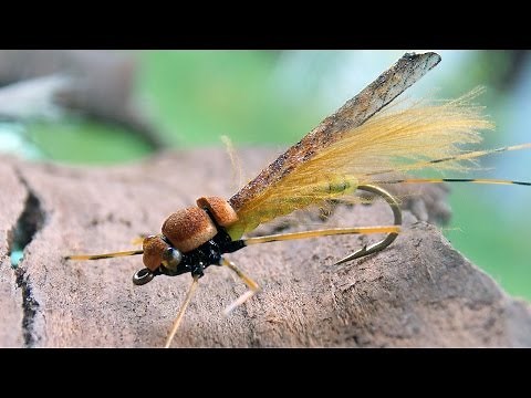 Adult stone fly - dry fly tying instructions by Ruben Martin