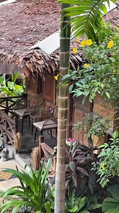 Phum Khmer Lodge in Siem Reap 🇰🇭 #khmer #house #letmeshowyoucambodia | Laoclassics