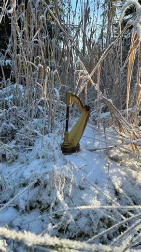 Everybody loves somebody-Irvin Taylor-Ray Pool #harp #cover #shorts