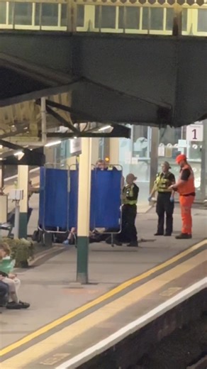 463K views · 898 reactions | BREAKING: A serious incident at Chippenham railway station is causing significant disruption to services this evening. Police appear to have a male restrained on the ground. The incident is believed to be mental health related. Some trains have been suspended on the line for more than 40 minutes — it’s not clear when they will be able to run again. More follows. #ukreels #uknews #news #chippenham #trains #police | Wiltshire 999s | Facebook