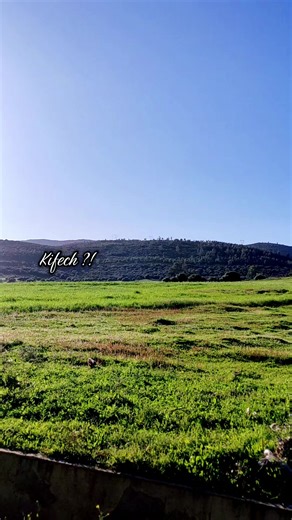 Kifch Chab Hasni El Malik