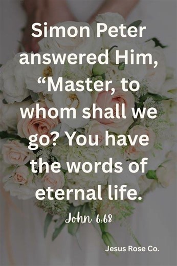 Catholic Bible Study | John 6:68 | Jesus Rose Co. ✝️