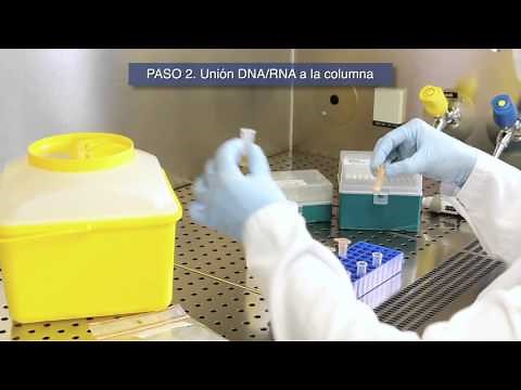 VIASURE Real Time PCR Detection Kits. Extracción de ácidos nucléicos & Protocolo de Iniciación