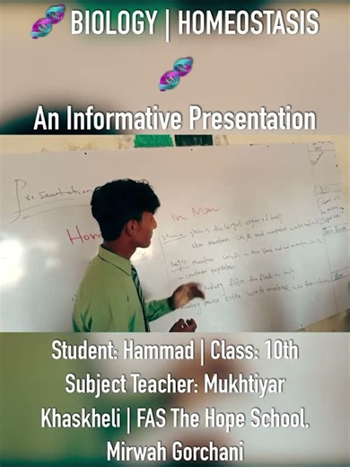 🧬 Homeostasis | Biology Class 10 Presentation by Hammad | FAS The Hope School