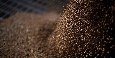 China buys enough US soybeans to reach trade target | LinkedIn