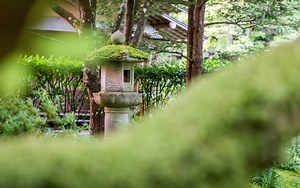 Nitobe Memorial Garden highlighted in documentary | Visit UBC Vancouver campus attractions