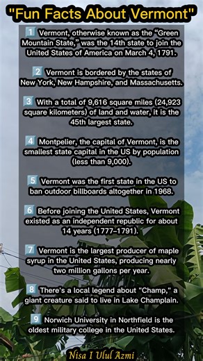 Fun Facts About Vermont 🤩 #Vermont #USA #TravelFacts #FactsOfTheWorld #TravelEarth #VisitVermont | Nisa I Ulul Azmi